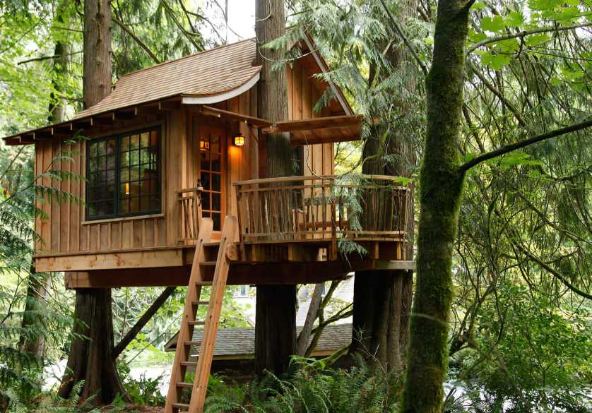 民宿酒店樹屋設(shè)計
